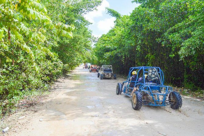 Buggys & Polaris -Best Way to Explore Punta Cana - What Travelers Say