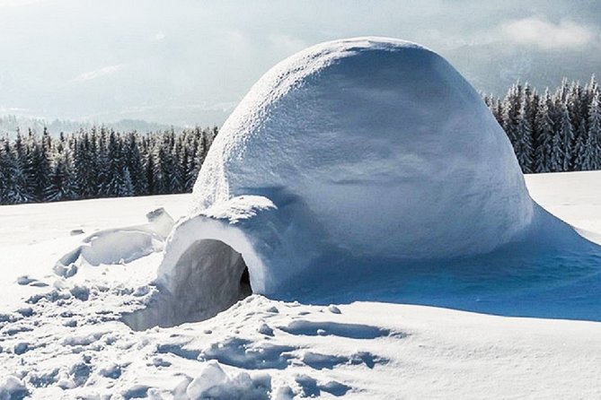 Building a Snow Igloo From Kemi - Dietary Options and Meals