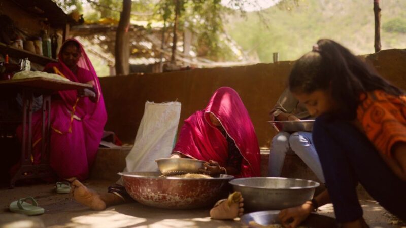 Bujra: Farm to Table at a Zen Eco-Farm Amidst The Aravallis - Pricing and Booking