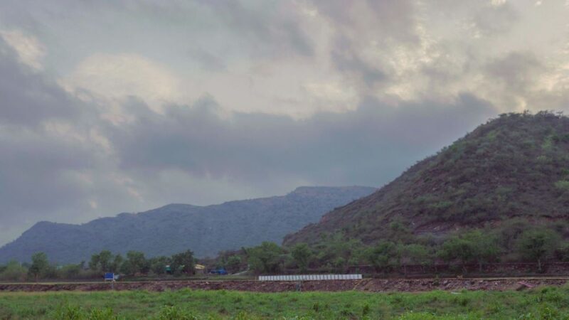 Bujra: Farm to Table at a Zen Eco-Farm Amidst The Aravallis - Culinary Highlights