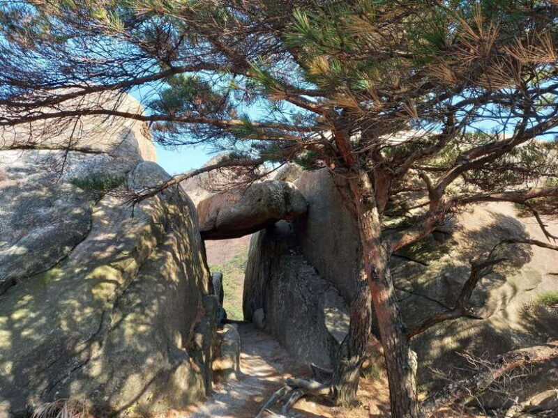 Bukhansan mountain hiking tour - 6 hours - The Sum Up: Who Will Appreciate This Experience?