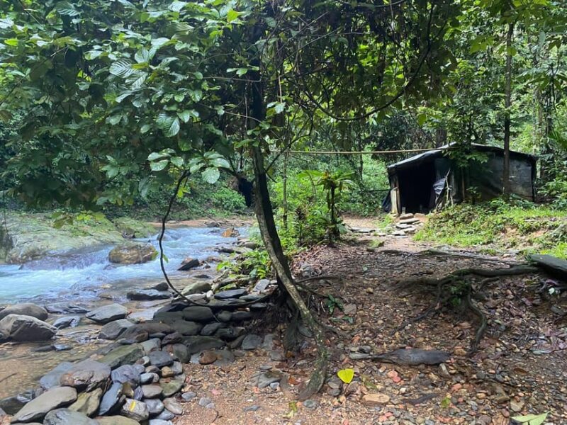 Bukit Lawang: 4-Day Orangutan Jungle Trekking Adventure - Detailed Itinerary