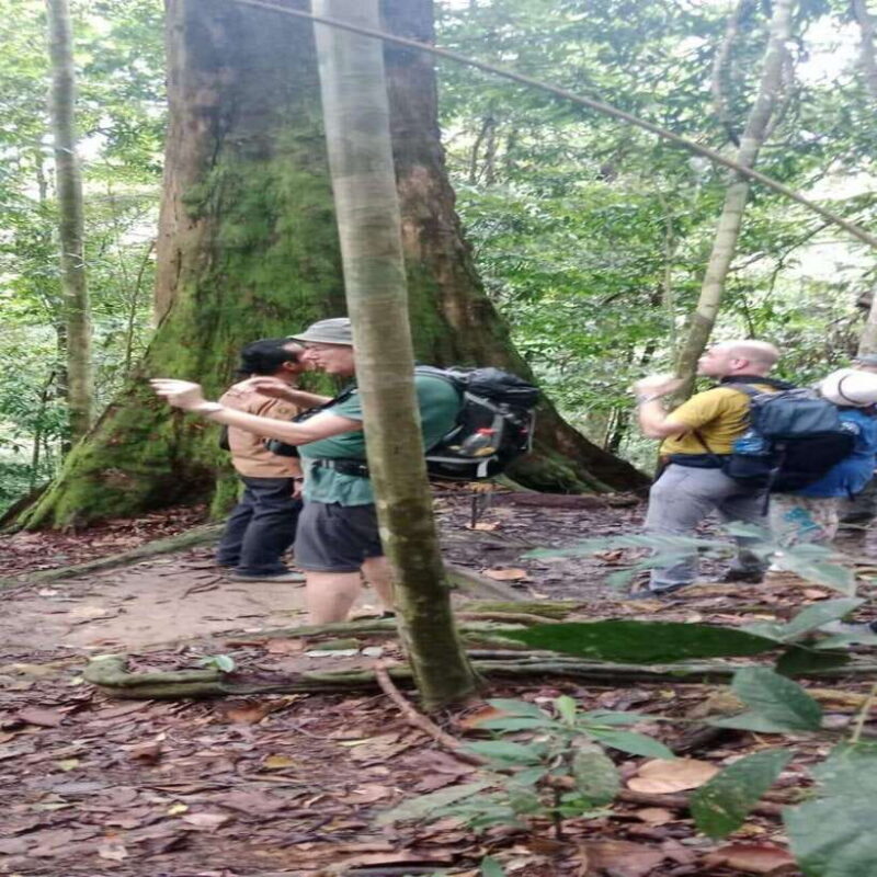 Bukit Lawang: Orangutan Tour & Wonderful Jungle View - The Sum Up