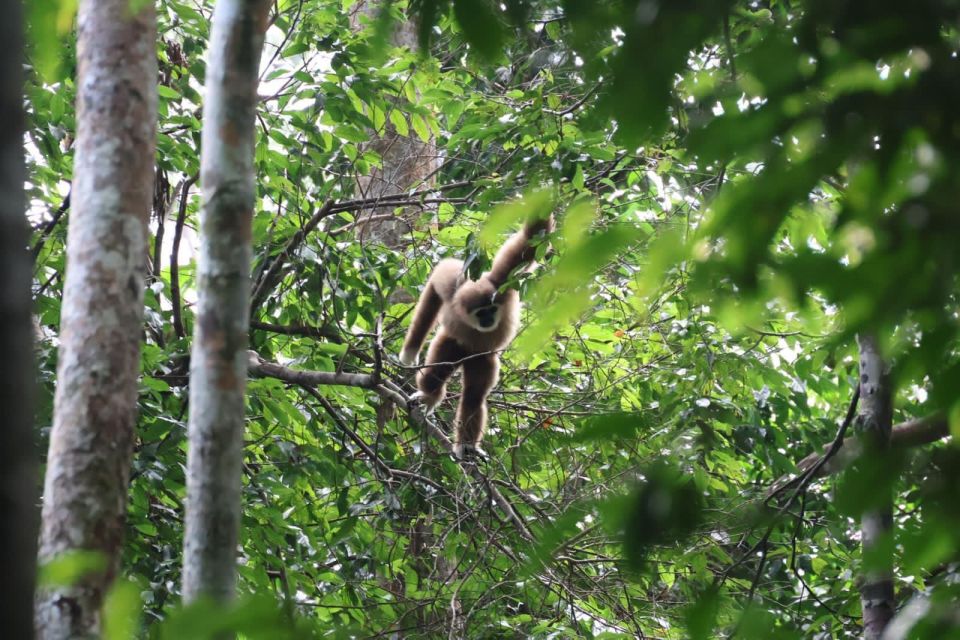 Bukitlawang Orangutan : 3 Days Group Jungle Trek - Capture Unforgettable Moments