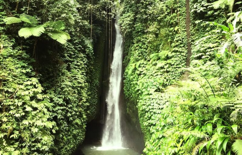 Buleleng Hidden Gems: Waterfall Tour - Itinerary and Activities