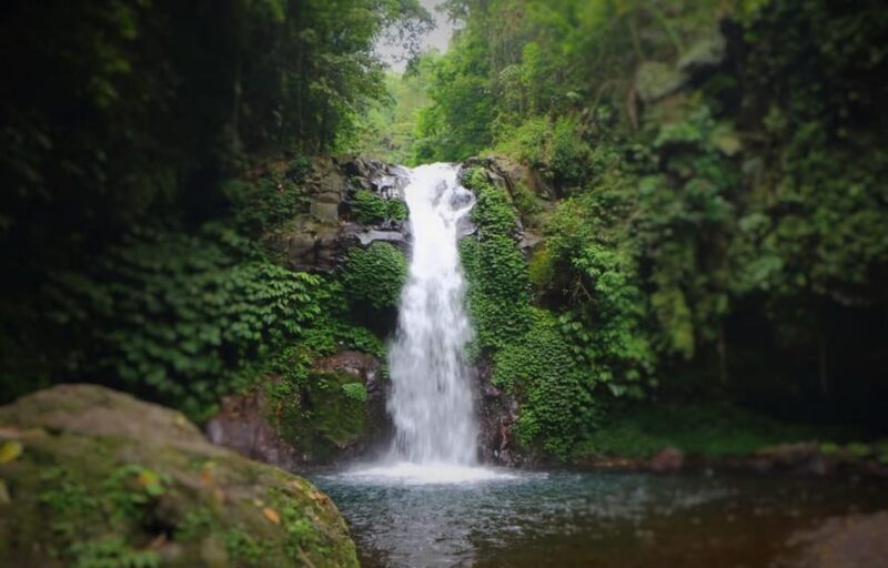 Buleleng Hidden Gems: Waterfall Tour - Additional Activities