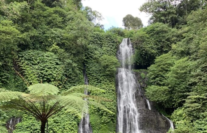 Buleleng Hidden Gems: Waterfall Tour - Important Information