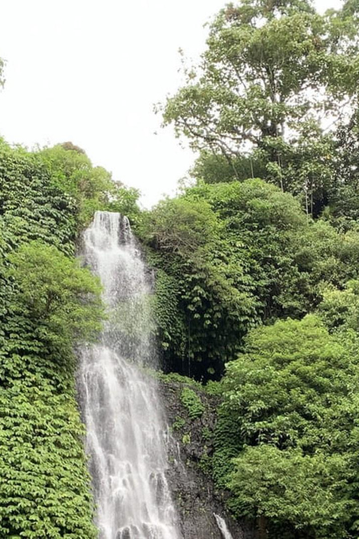 Buleleng Hidden Gems: Waterfall Tour - Important Information
