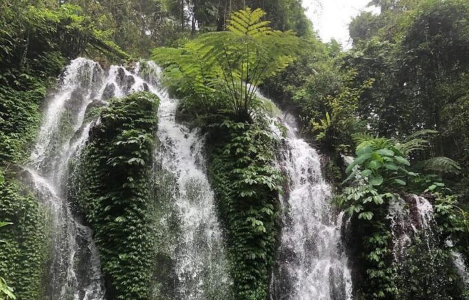 Buleleng Hidden Gems: Waterfall Tour - Booking and Availability
