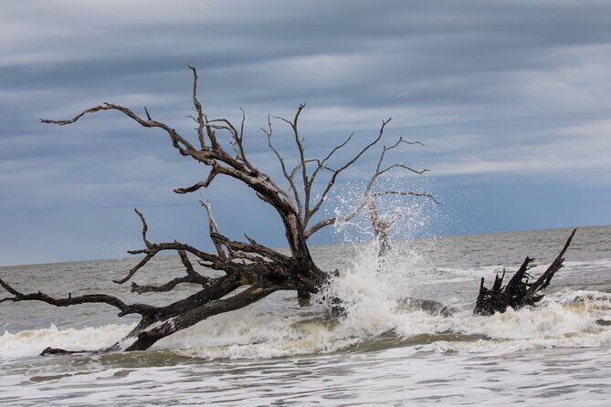 Bulls Island Ferry Adventure - FAQ