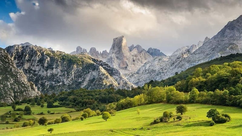 Bulnes: Excursion with funicular and Cabrales cheese cave in Picos de Europa. - The Cabrales Cheese Cave: A Taste of Tradition
