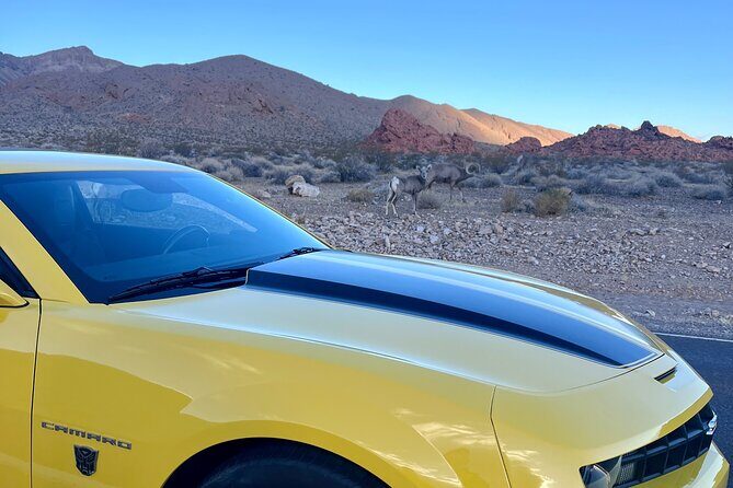 Bumblebee Camaro Tour: Transformers Movie Locations - The Experience in Depth