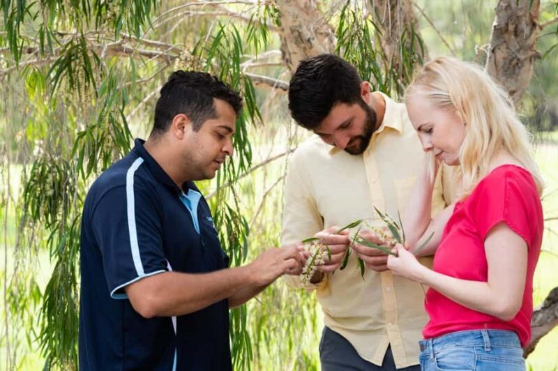 Bundaberg: Half Day Indigenous Experience with Morning Tea - A Deep Dive into the Experience