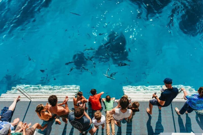Bundaberg: Lady Musgrave Island and Great Barrier Reef Tour - Setting the Scene: What to Expect on the Tour