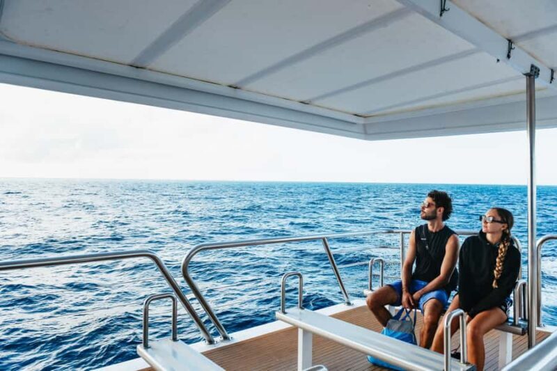 Bundaberg: Lady Musgrave Island and Great Barrier Reef Tour - Final Words