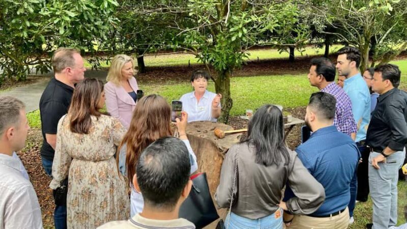 Bundaberg: Macadamia Orchard Tour - A Practical Guide to the Macadamia Orchard Tour