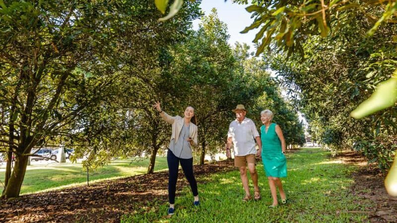 Bundaberg: Macadamia Orchard Tour - Who Will Love This Experience?