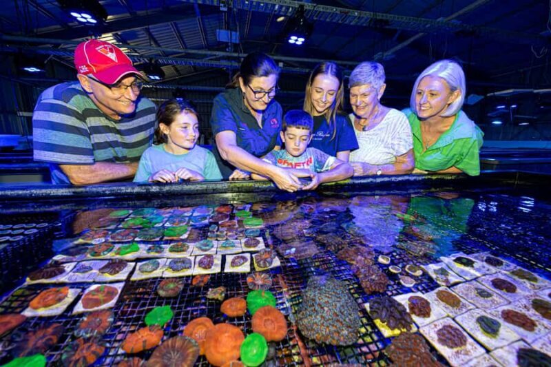 Bundaberg: Monsoon Aquatics Coral Farm Guided Tour - What Makes This Coral Farm Tour Stand Out