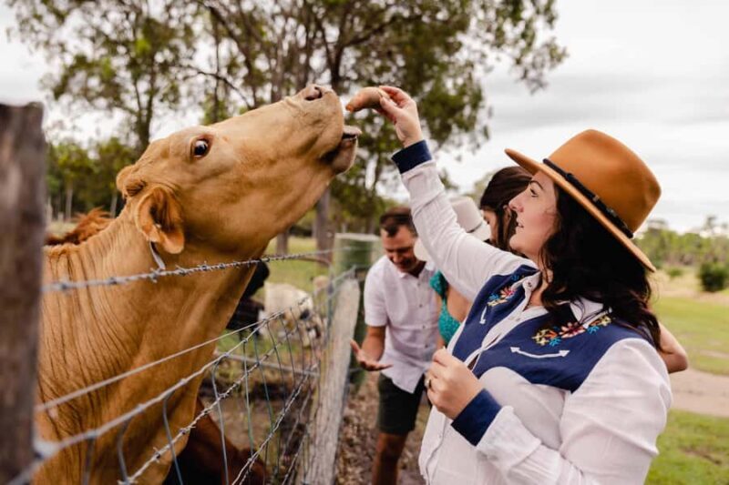 Bundaberg: Splitters Farm Guided Tour - Who Should Consider This Tour?
