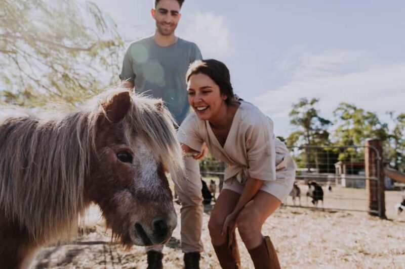 Bundaberg: Splitters Farm Guided Tour - FAQs