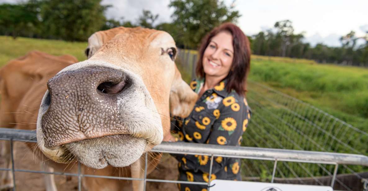 Bundaberg: Splitters Farm Private Guided Tour - Description