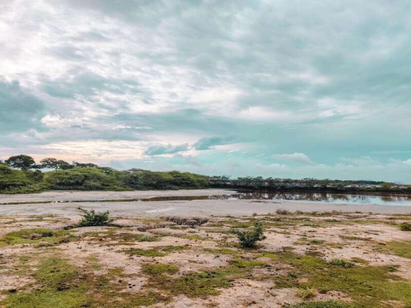 Bundala National Park Private Safari from Tangalle - What to Expect from Your Safari