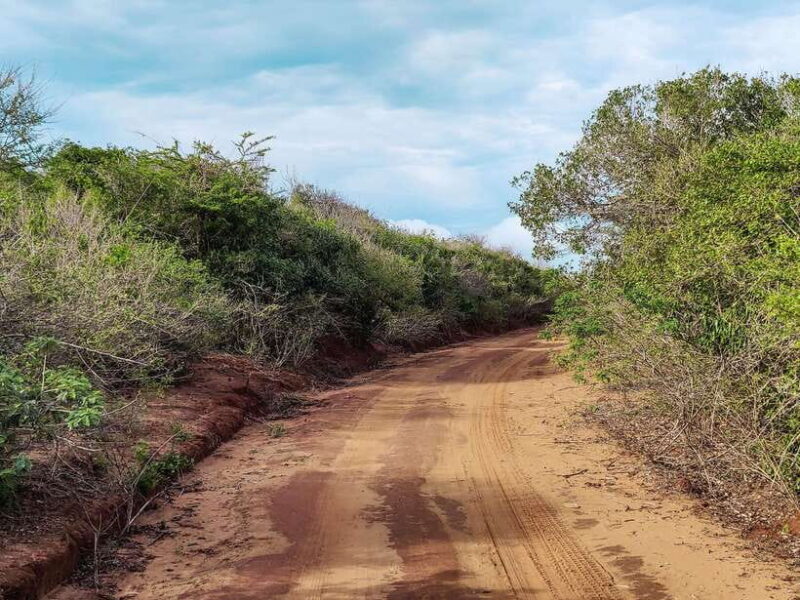 Bundala National Park Private Safari from Tangalle - The Value of the Experience