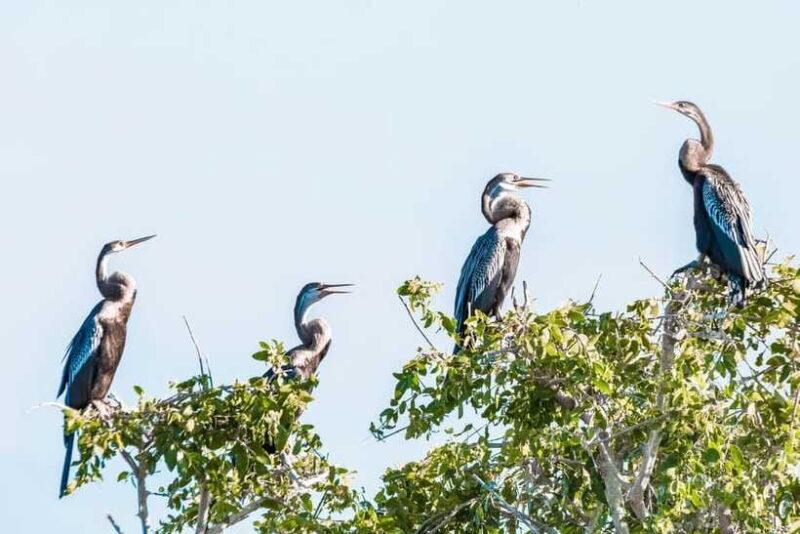 Bundala National Park Private Safari from Tangalle - FAQ