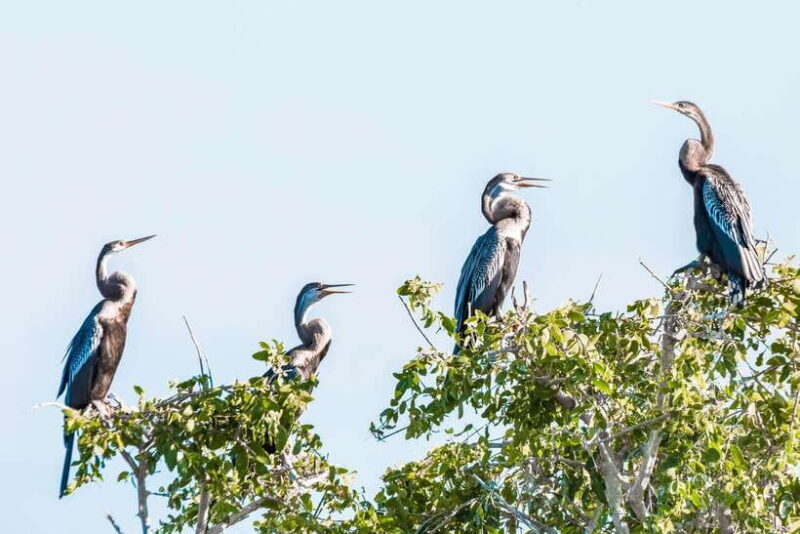 Bundala National Park Safari from Hikkaduwa - Final Thoughts