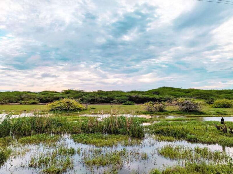 Bundala National Park Safari from Hikkaduwa - FAQs