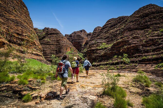 Bungle Bungle Flight & Domes To Cathedral Gorge Walking Tour - An Overview of the Tour Experience