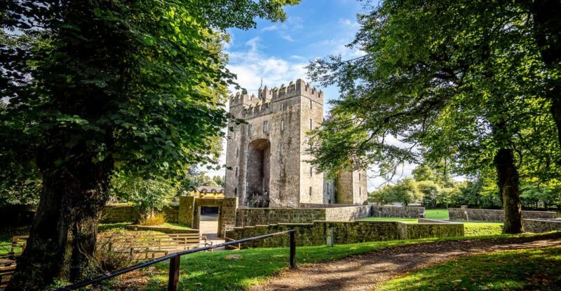 Bunratty Castle & Folk Park Day Visit - Experience Highlights