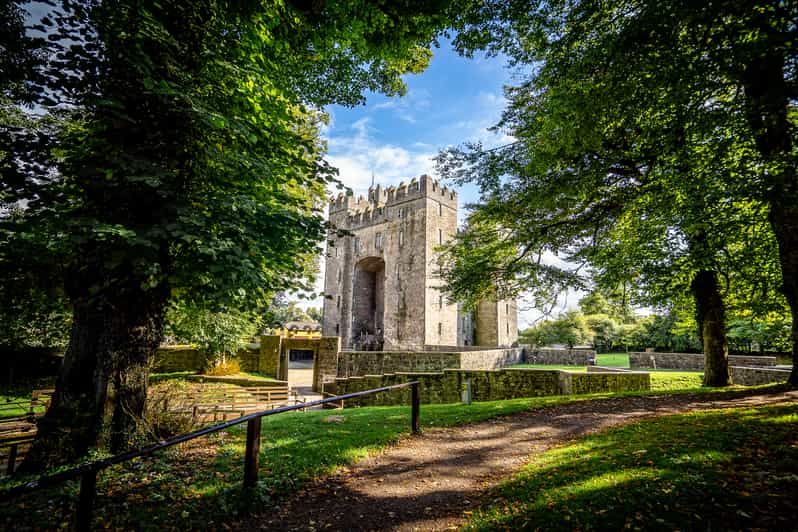 Bunratty Castle & Folk Park Day Visit - Accessibility Details