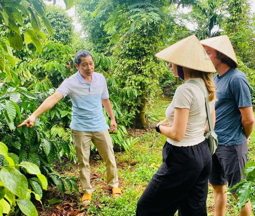 Buon Ma Thuot: Bean to Brew Coffee Farm Tour With Tasting - Tour Overview and Pricing