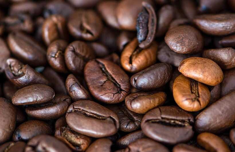 Buon Ma Thuot: Specialty Coffee Tour and Brewing Experience - Customer Experiences and Ratings