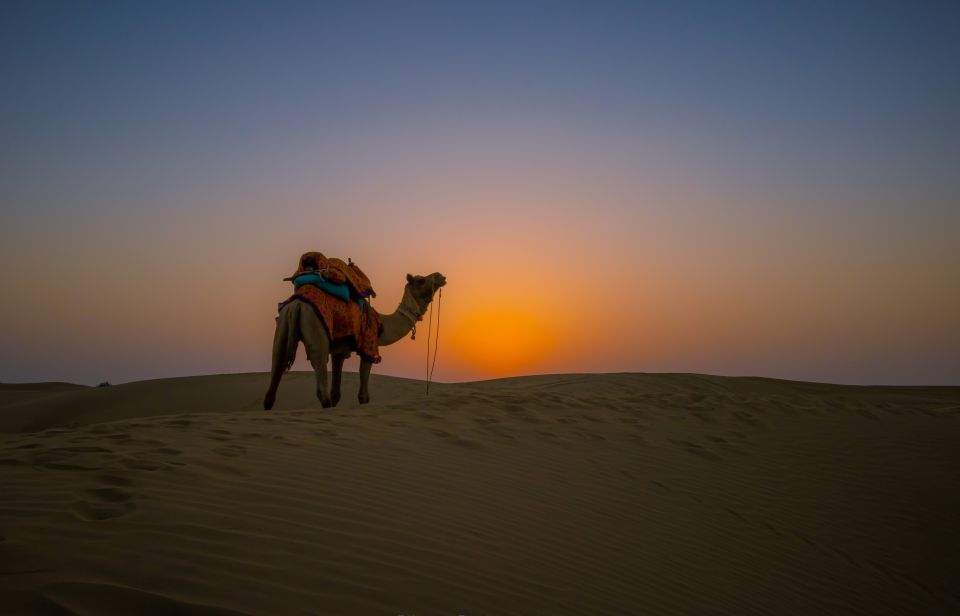 Buoyant Luxrious Overnight Thar Desert Camping Tour - Activities and Experiences