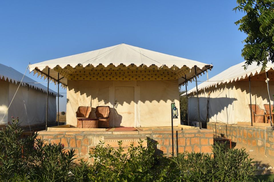 Buoyant Luxrious Overnight Thar Desert Camping Tour - Important Information