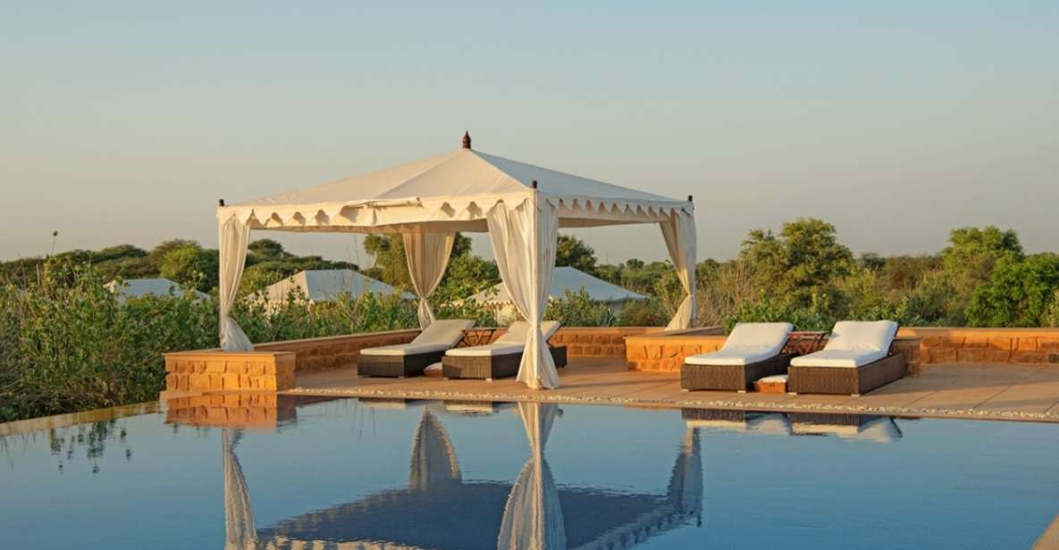 Buoyant Luxrious Overnight Thar Desert Camping Tour - Customer Feedback