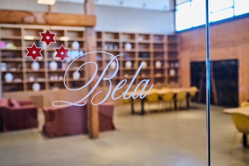 Burgos: Bela Winery - Villalba de Duero - Introducing the Bela Winery Tour: A Deep Dive into Ribera del Duero’s Grape Heritage