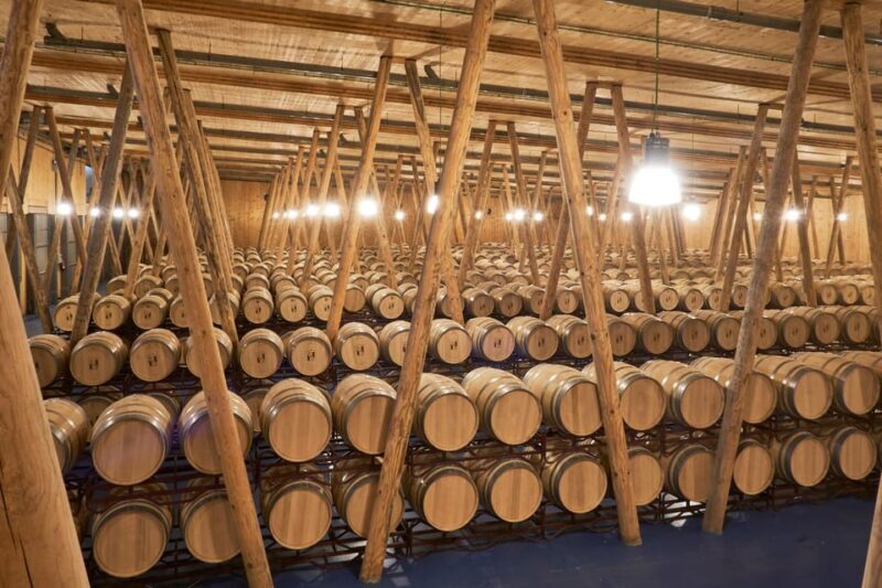Burgos: Bela Winery - Villalba de Duero - Who Would Love This Experience?