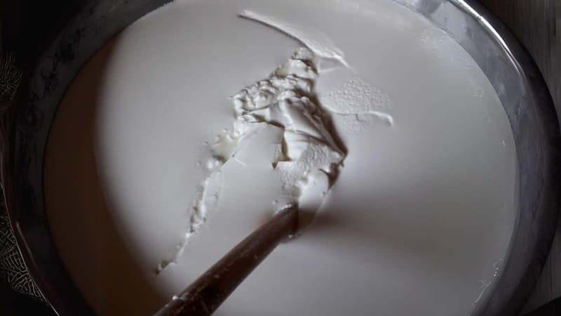 Burgos: Sardinian pecorino cheese workshop - A Tasty Look at Sardinian Pecorino: Authentic Cheese-Making in Sardinia