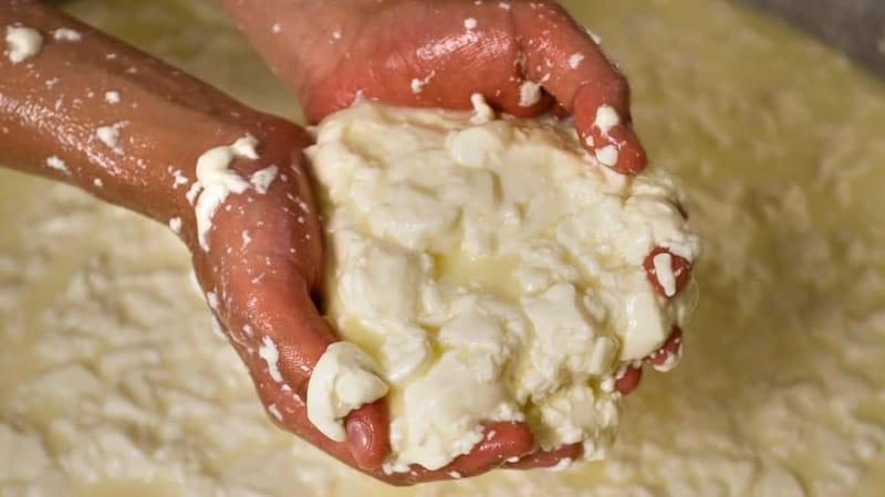 Burgos: Sardinian pecorino cheese workshop - Key Points