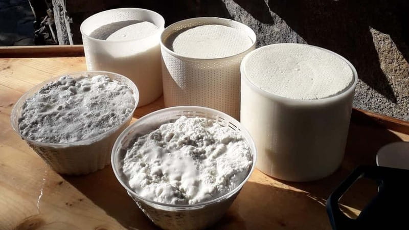 Burgos: Sardinian pecorino cheese workshop - The Value of the Experience
