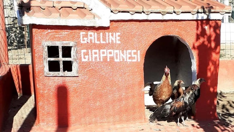 Burgos: visit to a farm with tasting - An In-Depth Look at the Farm Experience in Burgos