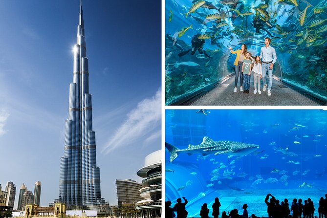 Burj Khalifa, Dubai Aquarium & UWZ With Penguin Cove Entry Ticket - Dubai Aquarium: Underwater Wonders Unveiled
