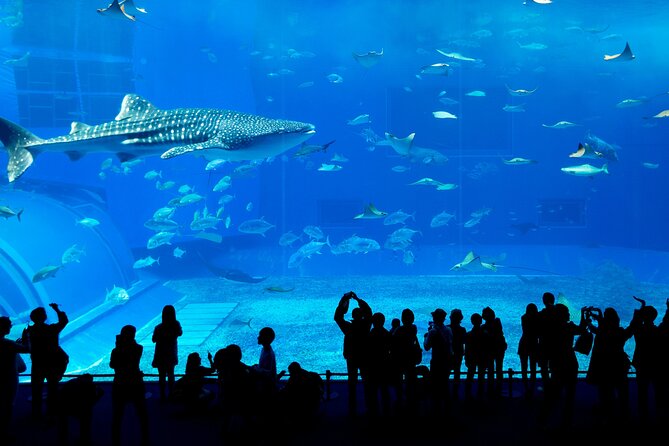 Burj Khalifa, Dubai Aquarium & UWZ With Penguin Cove Entry Ticket - Booking and Ticket Information