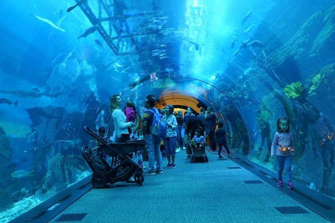Burj Khalifa, Dubai Aquarium & UWZ With Penguin Cove Entry Ticket - Transportation and Departure Point