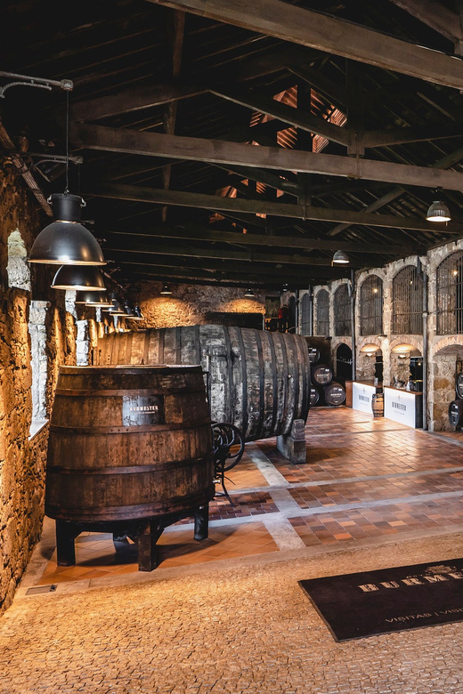 Burmester Cellar Tour - Who Should Consider This Tour?