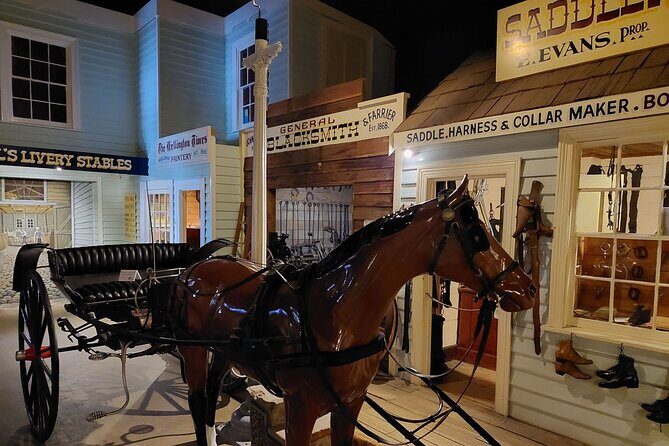 Burnie Attractions Bus: Burnie Shore Excursion - An In-Depth Look at the Burnie Attractions Bus Tour