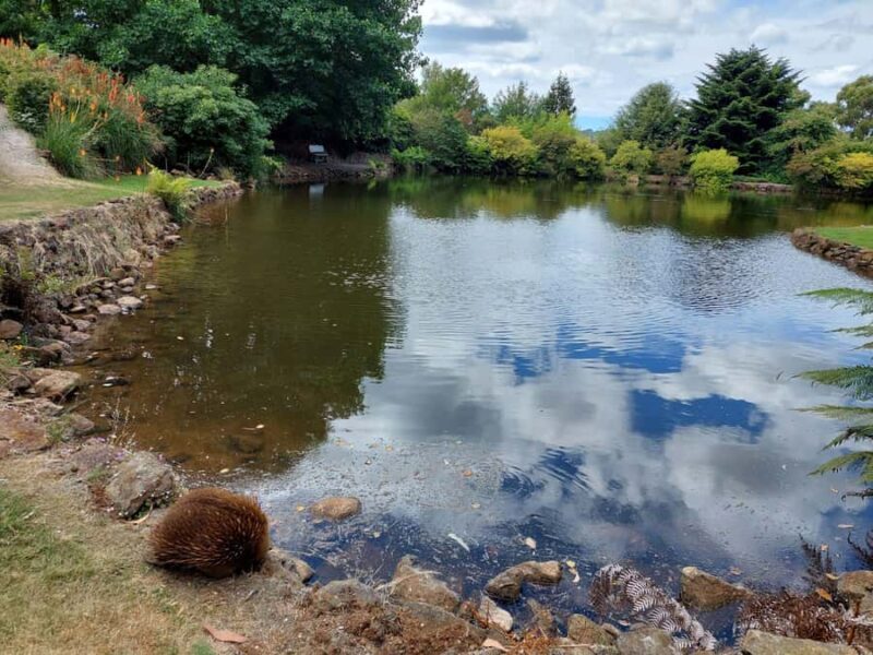 Burnie Attractions Bus - The Itinerary Breakdown: What’s on Offer